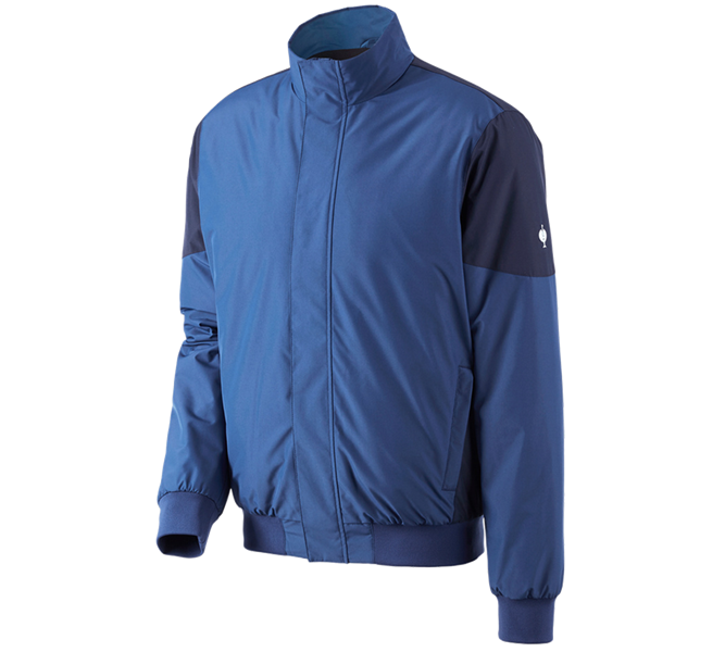 Vue principale, Vestes d'hiver, Blouson aviateur e.s.concrete, bleu alcalin/bleu profond