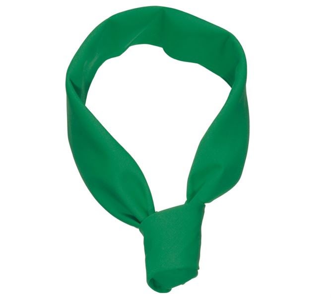 Vue principale, Accessoires vêtements cuisinier, Foulard en triangle, vert