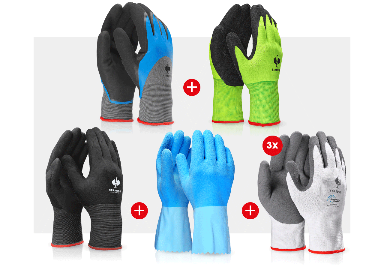 Kits | Accessoires: Kit de gants professionnels sanitaire II