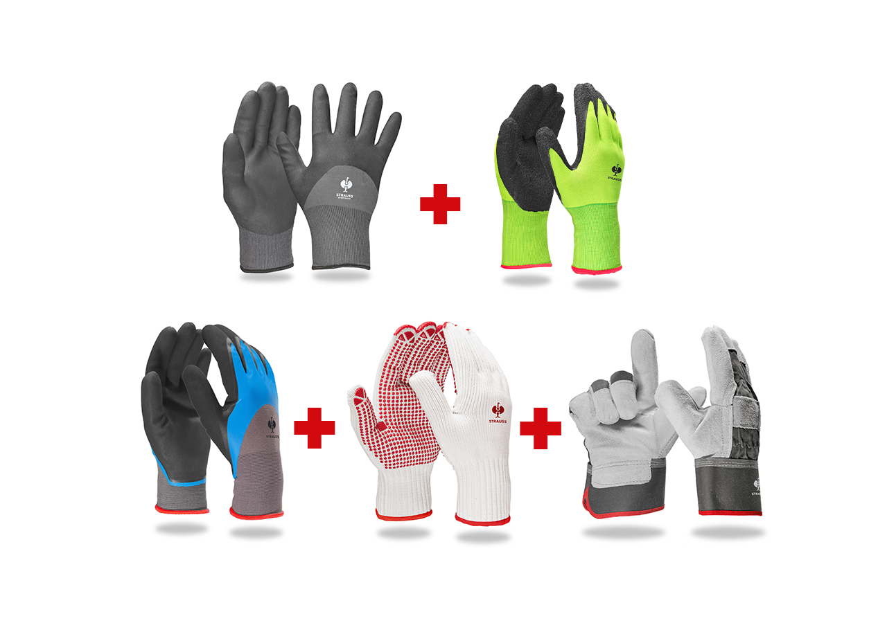 Sécurité au travail: Kit de gants profess. pour jardin II