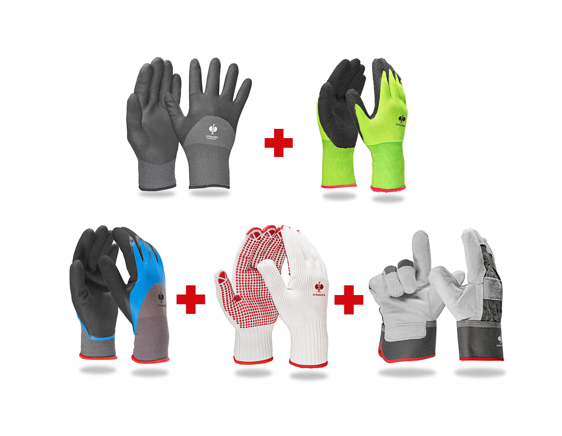 Sécurité au travail: Kit de gants profess. pour jardin II