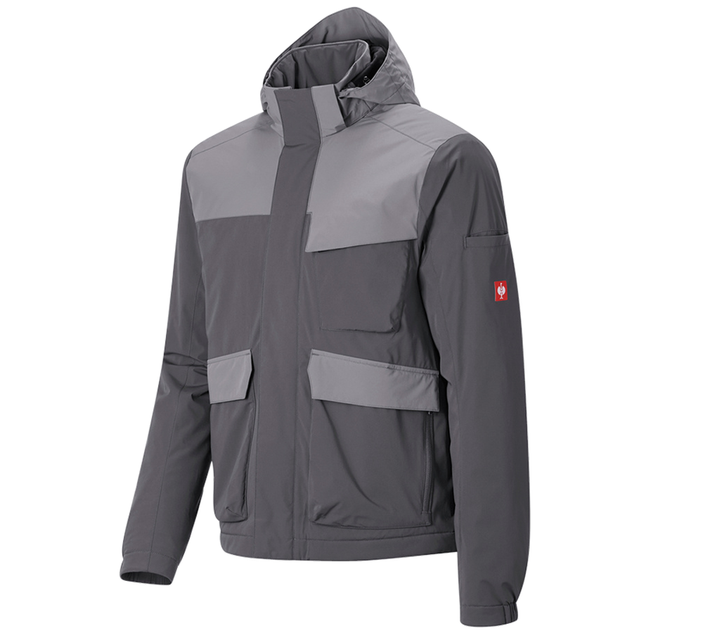 Vestes de travail: Veste d'hiver e.s.trail pure + gris carbone/gris basalte