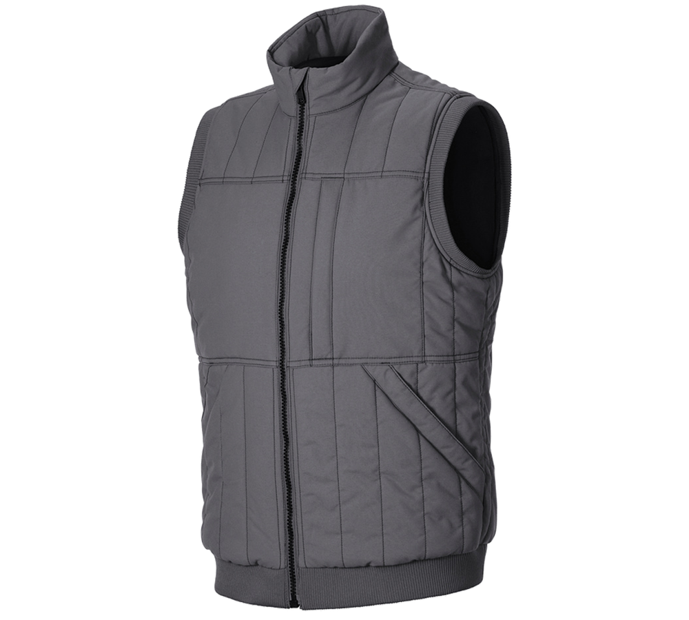 Gilets de travail: Gilet e.s.iconic + gris carbone