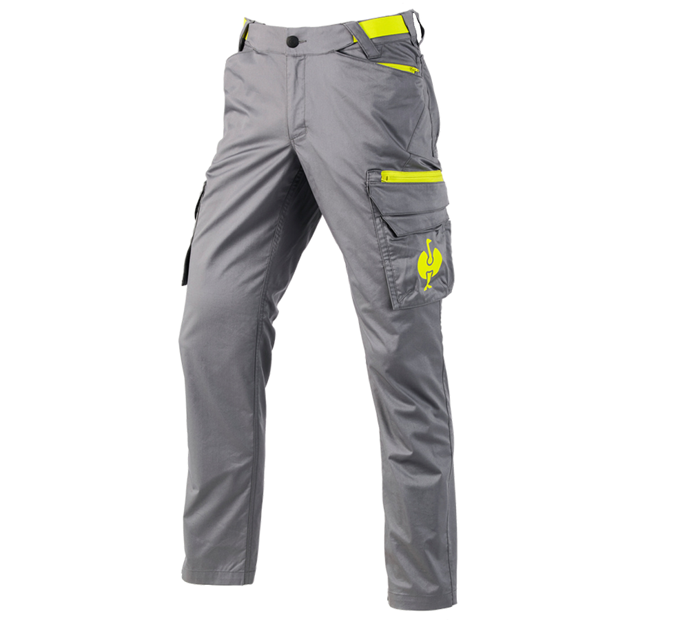 Thèmes: Pantalon Cargo e.s.trail + gris basalte/jaune acide