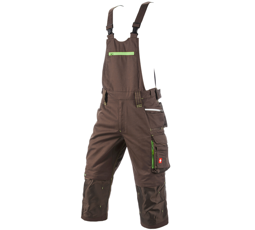 Pantalons de travail: Salopette corsaire e.s.motion 2020 + marron/vert d'eau