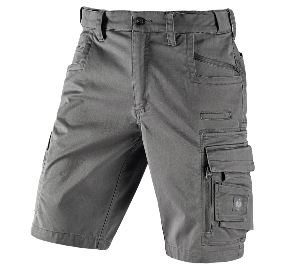 Pantalons de travail: Short e.s.motion ten + granit