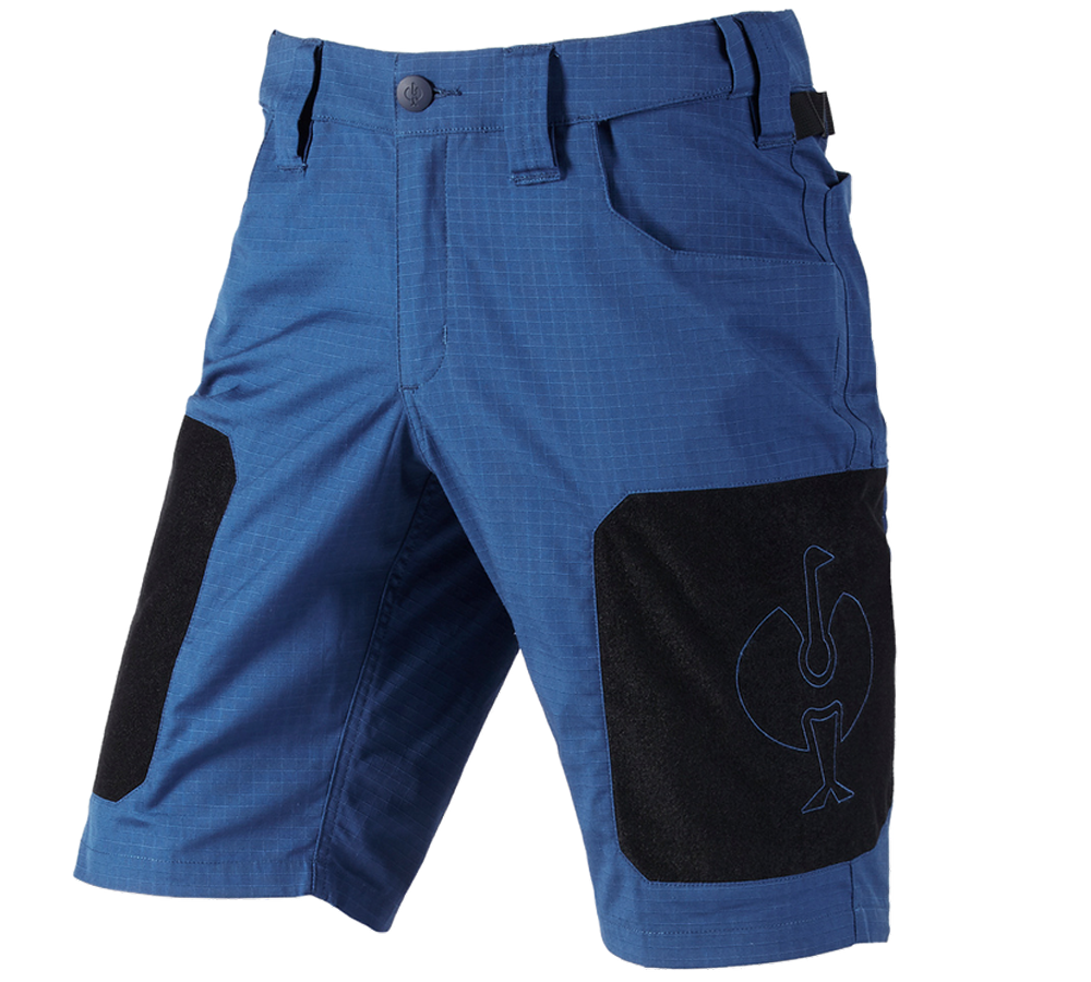 Pantalons de travail: Short e.s.tool concept + bleu alcalin