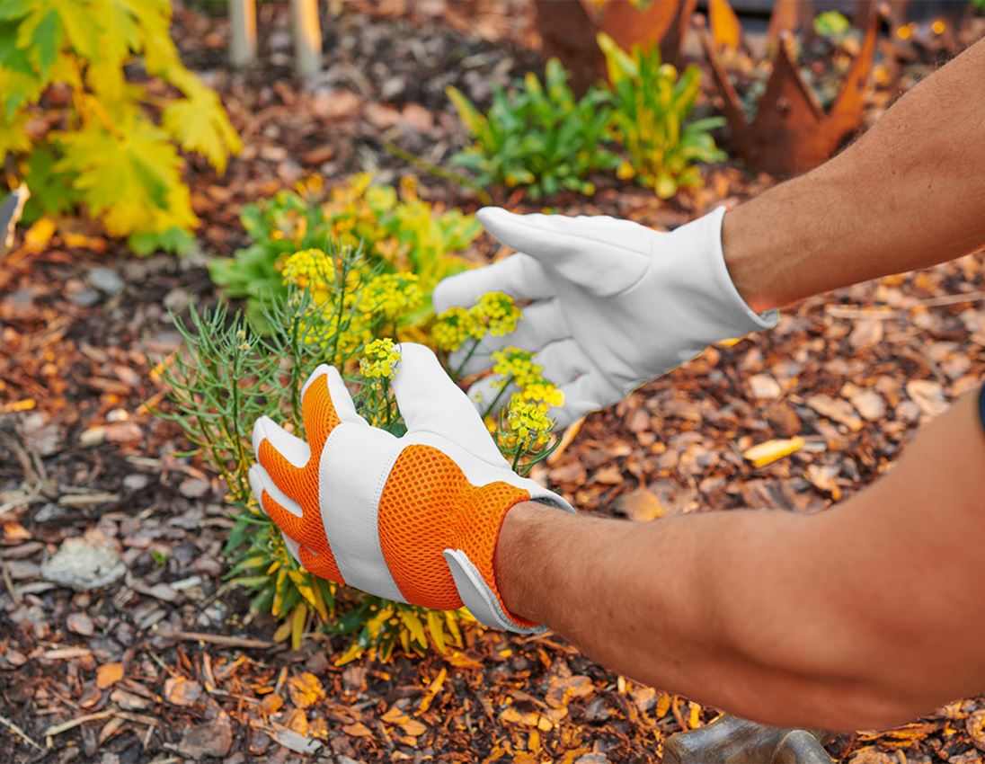 Sécurité au travail: 4x e.s. Gants en cuir Mesh + Pince à barbecue + orange 1