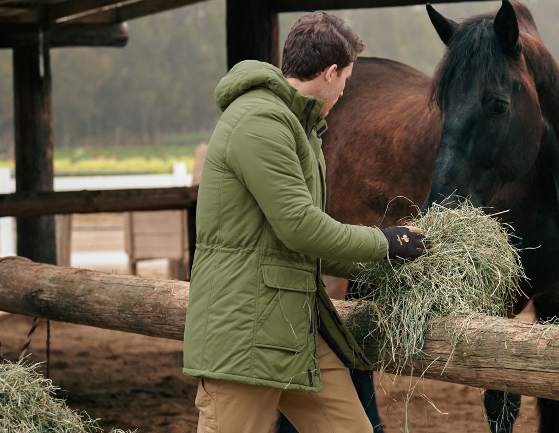 Vestes de travail: Parka e.s.iconic + vert montagne 1