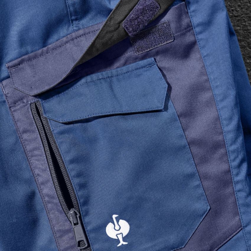 Pantalons de travail: Short e.s.concrete light + bleu alcalin/bleu profond 2