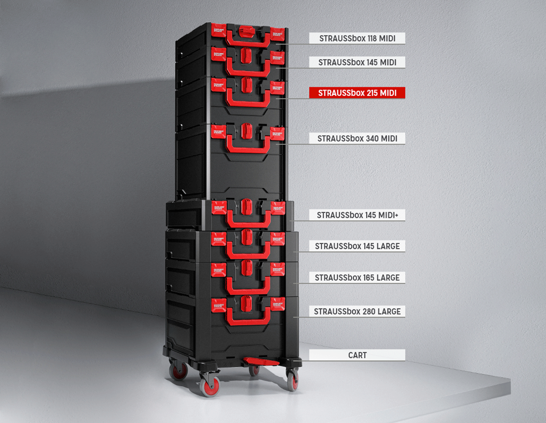 STRAUSSbox System: STRAUSSbox 215 midi + schwarz/rot