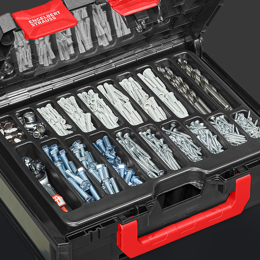 Werkzeuge: STRAUSSbox 118 midi tool insert, 20-Fächer 2