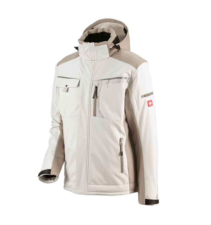 Froid: Veste Softshell e.s.motion + gypse/glaise 2