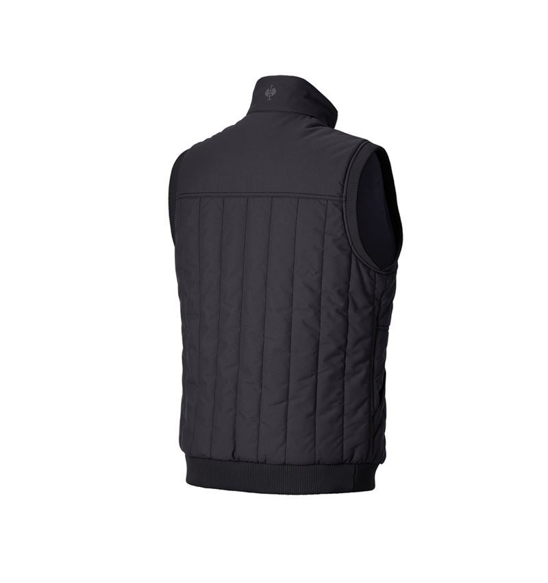 Vêtements: Gilet e.s.iconic + noir 5