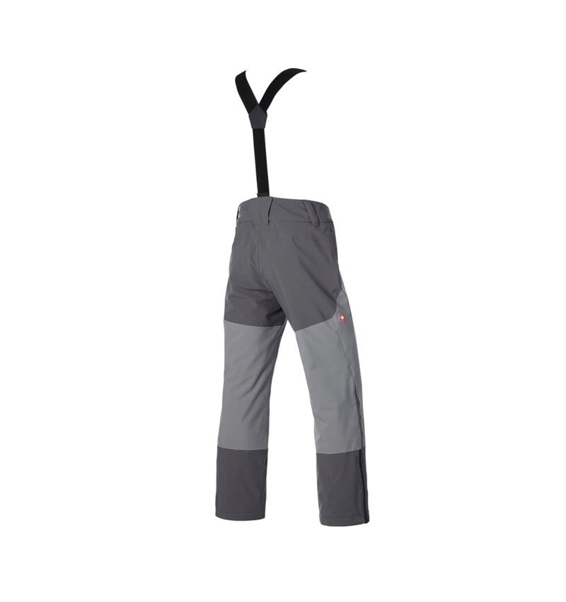 Pantalons de travail: Pantalon de fonction e.s.trail snow + gris carbone/gris basalte 6