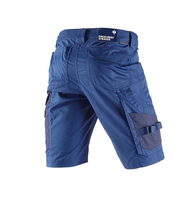 Pantalons de travail: Short e.s.concrete light + bleu alcalin/bleu profond 8