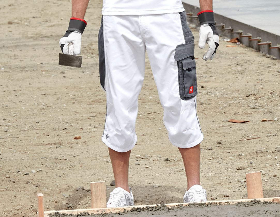Pantalons de travail: Corsaire e.s.active + blanc/gris