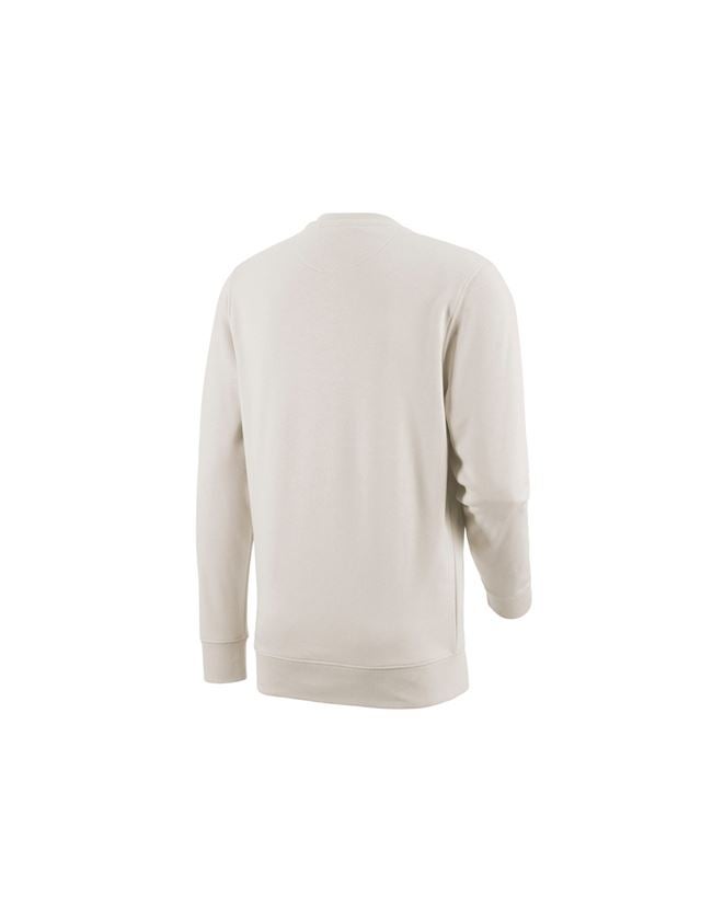 Shirts & Co.: e.s. Sweatshirt poly cotton + gips 3
