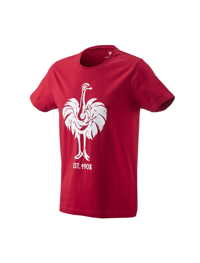 Hauts: e.s. T-Shirt 1908 + rouge vif/blanc 2