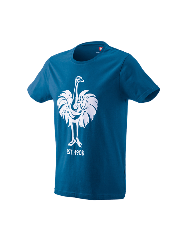 Hauts: e.s. T-Shirt 1908 + atoll/blanc 1