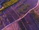 Lavendel, Löwenzahn, Quinoa – Die Landwirte pflügen und säen um die Wette und lassen so den Straussenvogel aufblühen. Foto: Engelbert Strauss